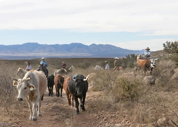 Monument Guest Ranch Station touristique 4*