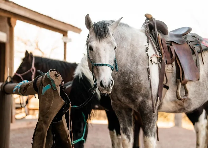 Monument Guest Ranch Station touristique